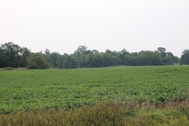 00005 County Road 14 NE, Spruce Hill Township, MN - photo 2