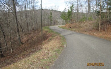 Additional View