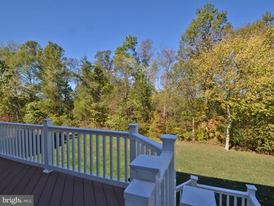 6528 Macklin St, Haymarket, VA 20169 - photo 6