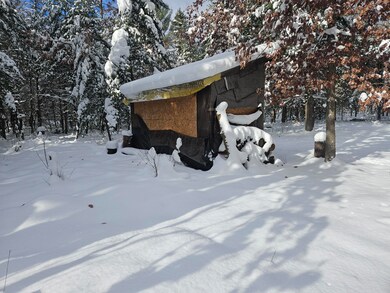 7106 Michigan 37, Irons, MI 49644 - photo 2