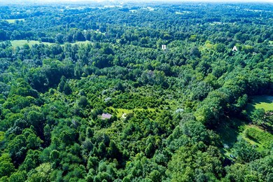 0 50 Ac Smith Ln, Cookeville, TN 38501 - photo 4