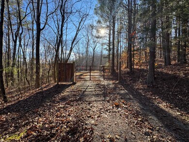 1931 Parksville Rd, Benton, TN 37307 - photo 3