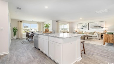 239 Teddy Bear Loop, Conway, SC 29526 - photo 2