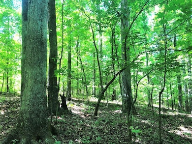 162 Tuggle Rd, Eatonton, GA 31024 - photo 2