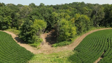 21 Acre Drone 0819246.png