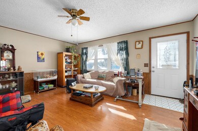 667 W Elm St, Aurora, MO 65605 - photo 5