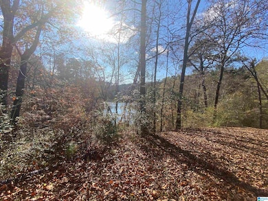 3379 Sharon Ln, Bessemer, AL 35023 - photo 6