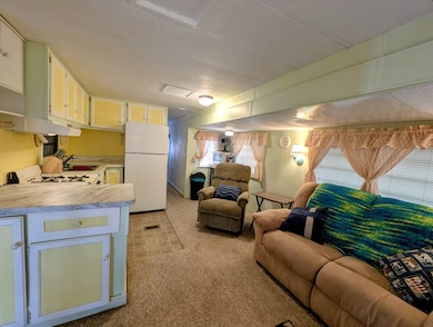 6223 Carl Shepard Dr, Palmetto, FL 34221 - photo 5