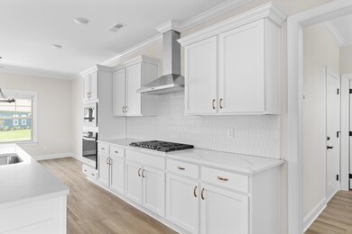 8860 Knolling Loop, Ooltewah, TN 37363 - photo 6