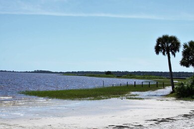 175 Wakulla Beach Rd, Crawfordville, FL 32327 - photo 5