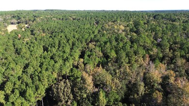 TBD Cr 2265, Grapeland, TX 75844 - photo 7