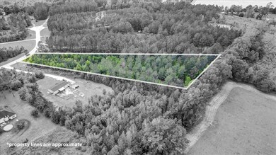 0 Loblolly Ct unit 147244, Newington, GA 30446 - photo 2