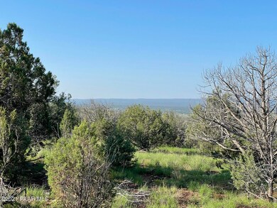 1422 N Murdo Way, Ash Fork, AZ 86320 - photo 2