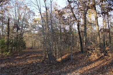 0 Carew Dr unit 1133051, Bella Vista, AR 72714 - photo 7