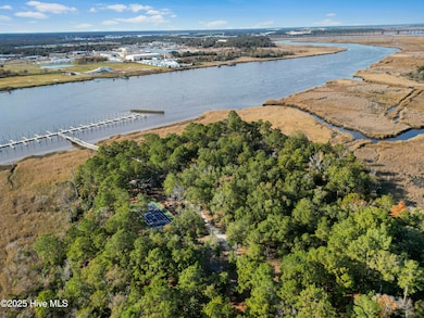 344 Preservation Point, Wilmington, NC 28401 - photo 5