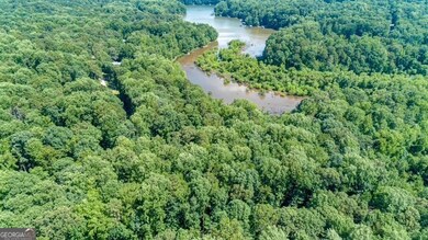 0 Tom Kat Trail unit 10564667, Lavonia, GA 30553 - photo 5