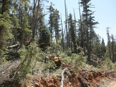 905 W Twisted Trail unit ZVME Un E Lot 113, Duck Creek Village, UT 84762 - photo 6