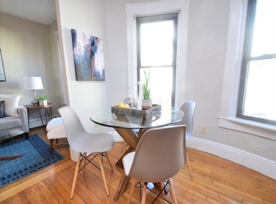 217 Boylston St unit 2, Jamaica Plain, MA 02130 - photo 5