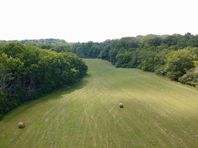 0 County Road 494, Bryant, AL 35958 - photo 2