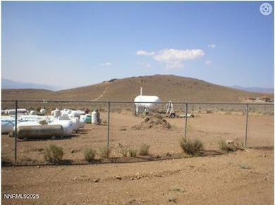 4249 Nevada 208, Smith Valley, NV 89444 - photo 7
