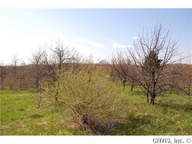 Land/Lot