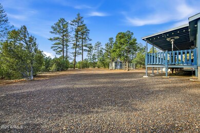 3051 State Route 277 --, Overgaard, AZ 85933 - photo 4