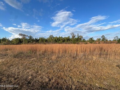 Nhn Matthew Johnson Rd, Wiggins, MS 39577 - photo 4