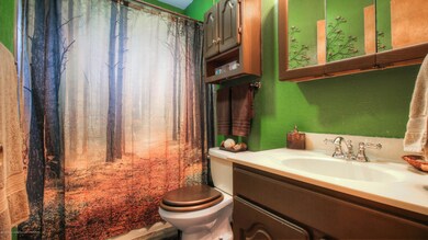 3211 Lawdor Rd, Lansing, MI 48911 - photo 6