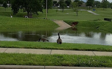 819 E Twin Maple Ct, Nixa, MO 65714 - photo 5