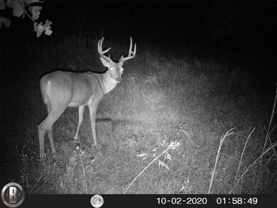 27014 U S Route 377, Gordonville, TX 76245 - photo 5