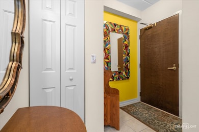 Spring Ave Station unit 303, La Grange, IL 60525 - photo 2