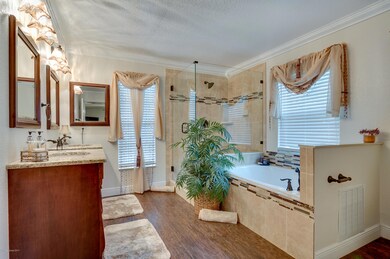 Master Bath Soaker Tub