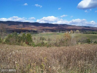 0 Bruebeck Ln unit 1003766658, Strasburg, VA 22657 - photo 2