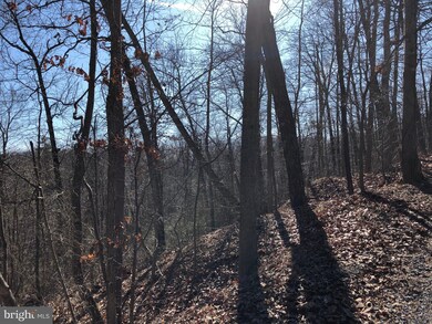 0 Old Oregon Rd unit VAWR139916, Front Royal, VA 22630 - photo 4