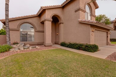 Arizona Photographer_TED Photography-5