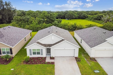 5415 Logan Cave Ave, Wimauma, FL 33598 - photo 2