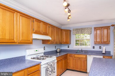 7342 Ash Brook Ct, Sykesville, MD 21784 - photo 7