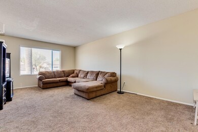 0003-Del Oro - 2304 (3)