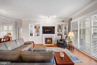 The Ritz-Carlton Residences unit 152, Baltimore, MD 21230 - photo 4