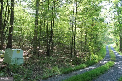 0 Brush Leaf Ln unit VASH121532, Mount Jackson, VA 22842 - photo 5