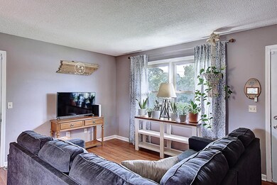 105 Meadow View Ct