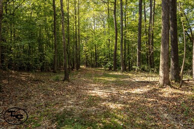 0 Tennessee 125, Henderson, TN 38340 - photo 5