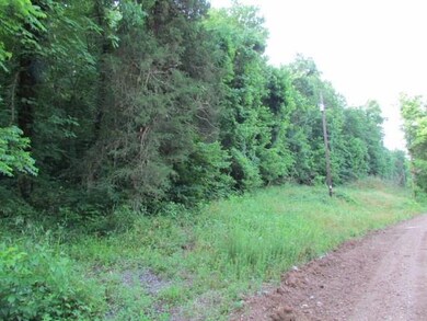 12564 Parker Branch Rd, West Fork, AR 72774 - photo 2