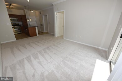 12905 Centre Park Cir unit 204, Herndon, VA 20171 - photo 4