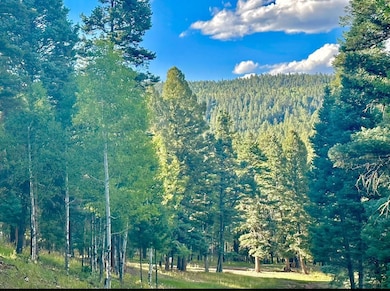 134 Onate Rd, Angel Fire, NM 87710 - photo 2