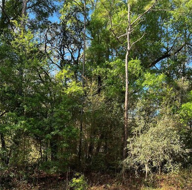 00 SW 98th Ln, Dunnellon, FL 34432 - photo 2