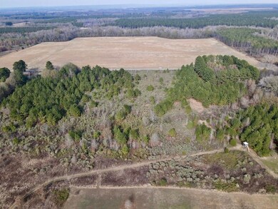000 S Waller Rd unit LotWP001, Bald Knob, AR 72010 - photo 6