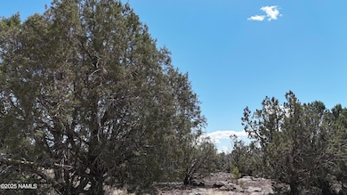 3288/3236 W Cumberland Rd, Williams, AZ 86046 - photo 5