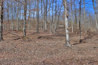 1282 Haynes Knob Rd, Somerset, KY 42501 - photo 4