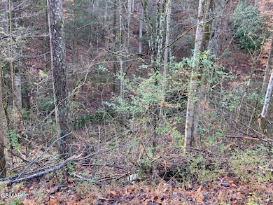 Lot 53A Fiesta Blvd, Sevierville, TN 37876 - photo 2